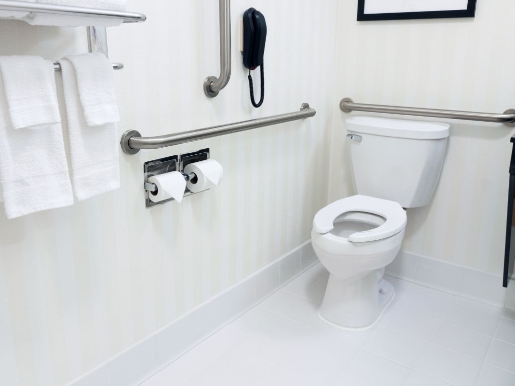 handicapped access bathroom grab bars
