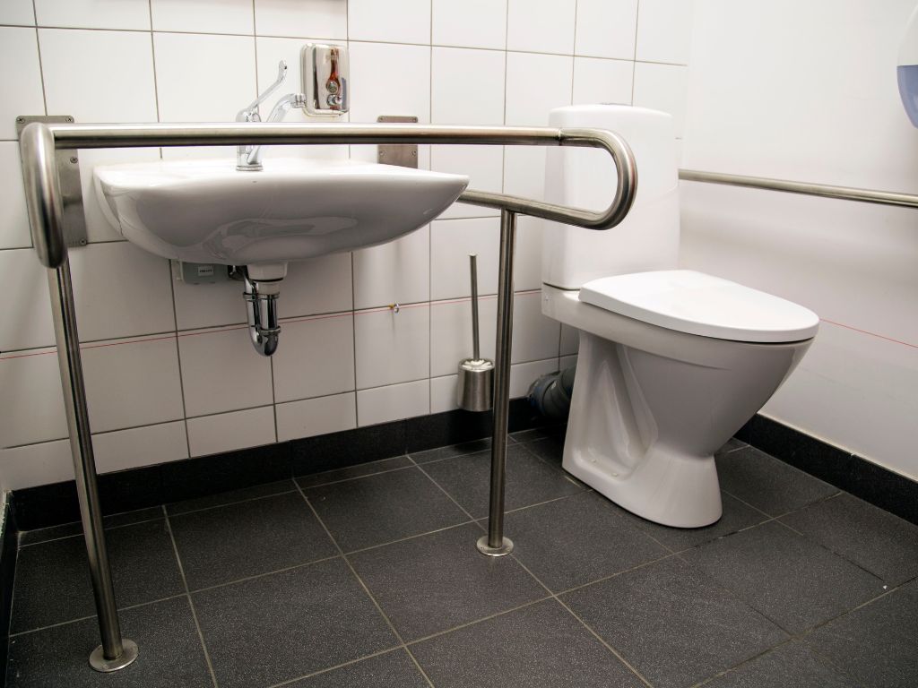 handicapped access bathroom grab bars toilet